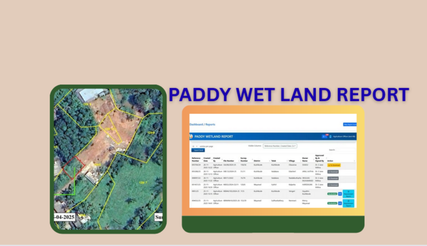 PADDY WETLAND REPORT