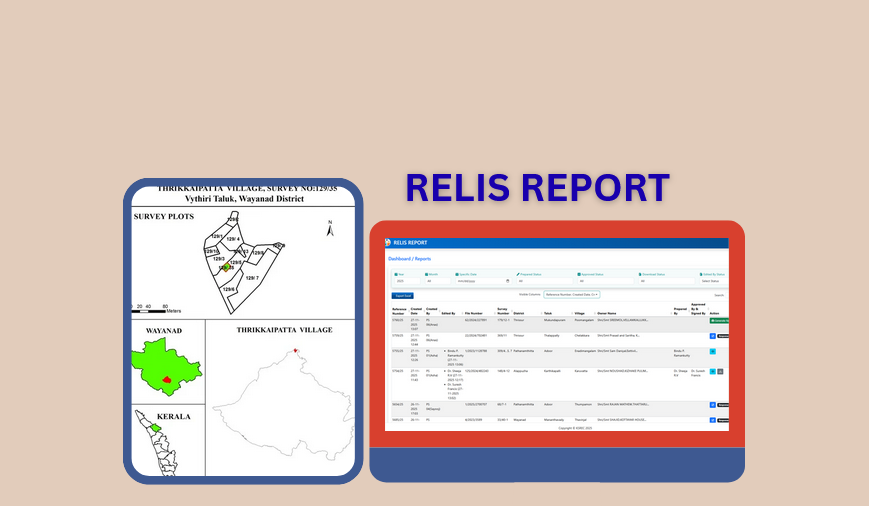 RELIS REPORT